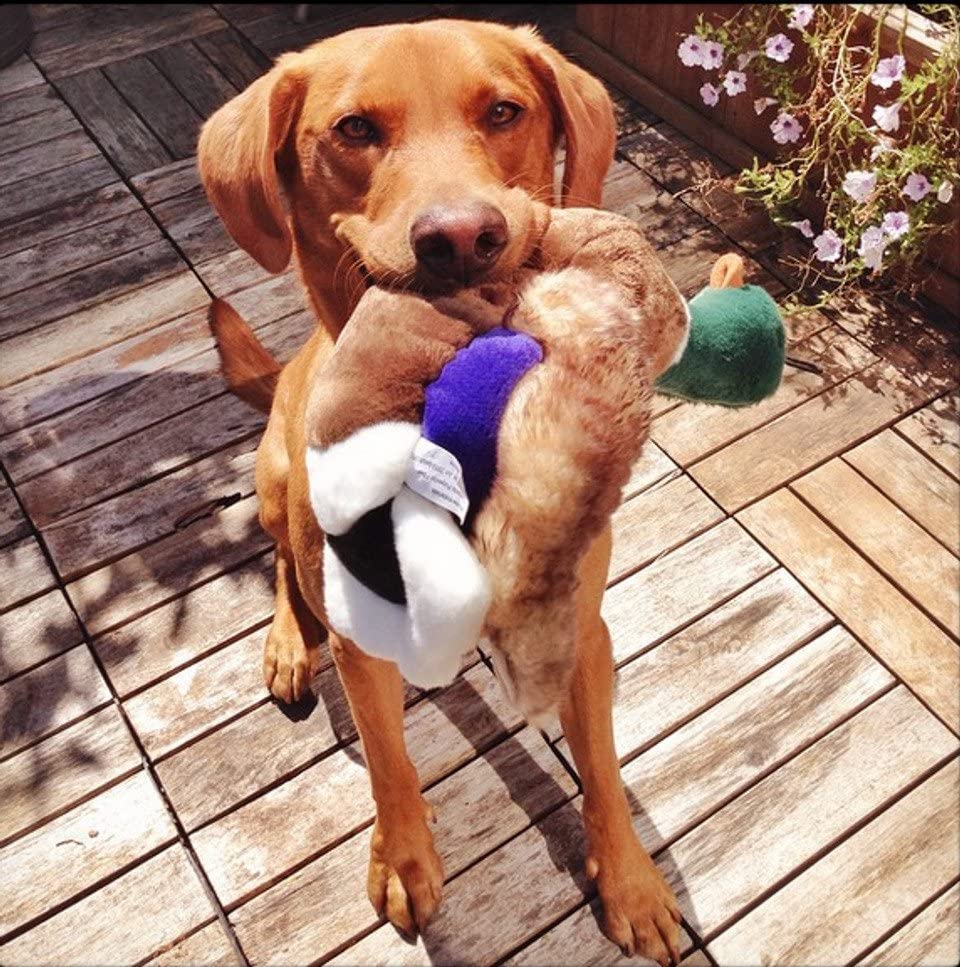 Fluff & Tuff Wally Mallard Dog Toy - Durable Plush Duck Chew Toy for Medium & Large Dogs - Perfect for Fetch, Tug of War & Cuddling