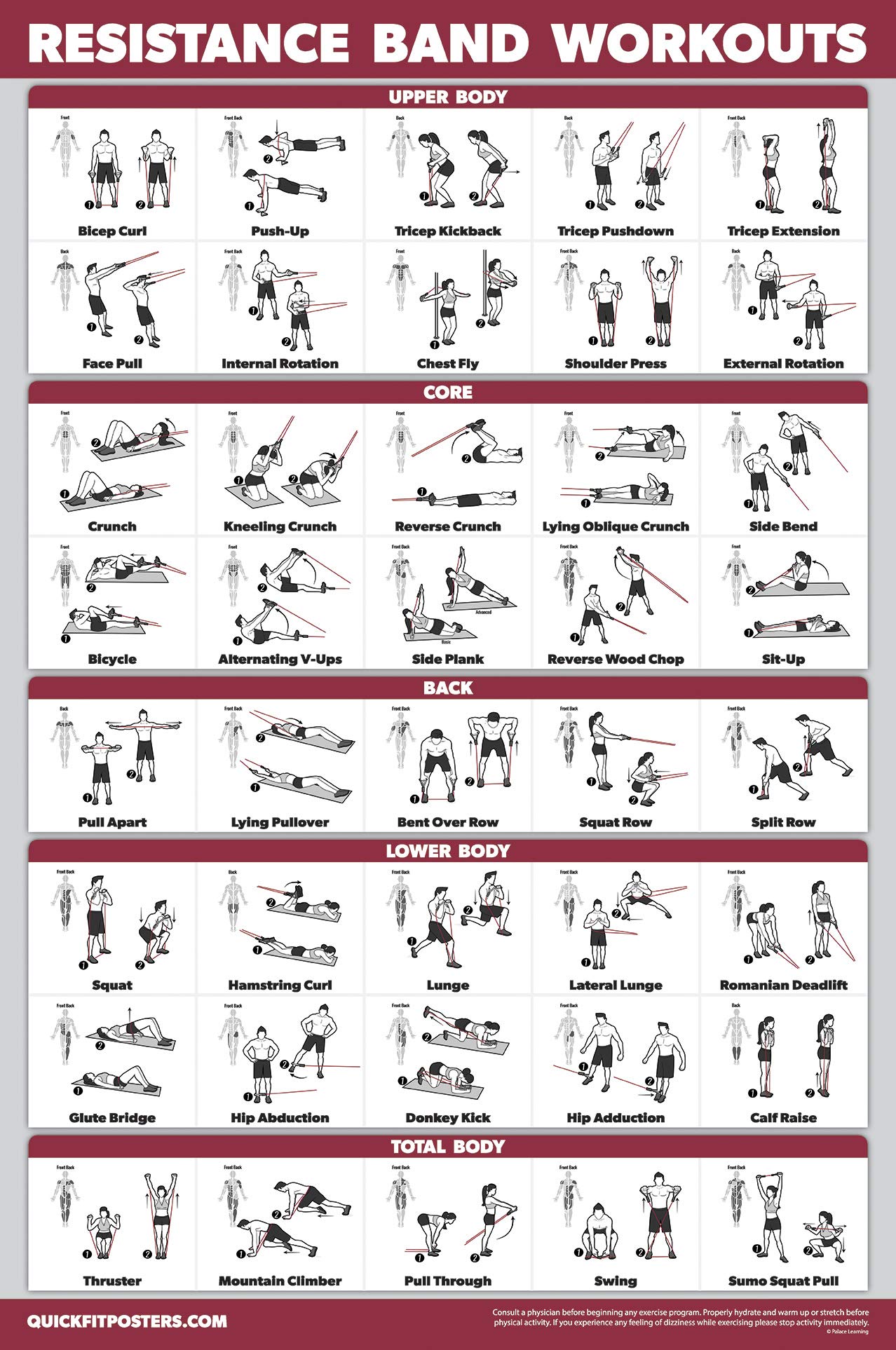 Dumbbell Workout Posters & Resistance Band Exercise Charts - 4 Pack Fitness Guide for Home Gym, Strength Training & Muscle Building | Includes Vol 1, 2, 3 + Band Workouts | Perfect for Beginners & Advanced Athletes
