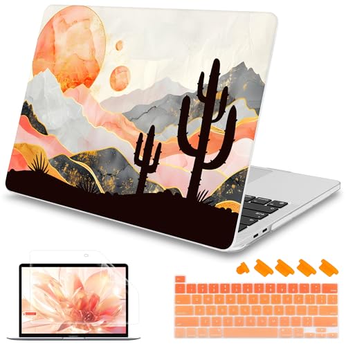 Sun & Cactus