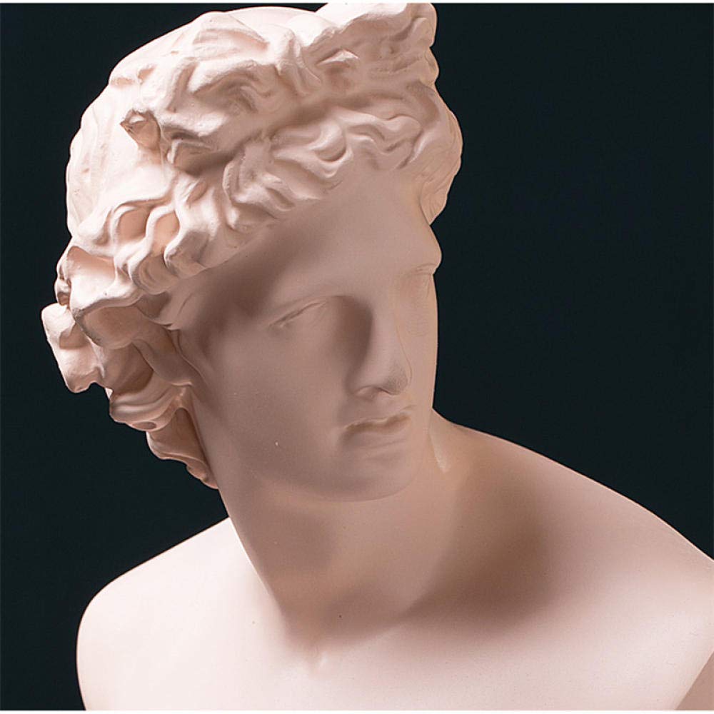 David Bust Statue - Classic Renaissance Sculpture, Resin Art Home Decor for Living Room, Office & Garden | Handcrafted Figurine, Elegant Gift Idea