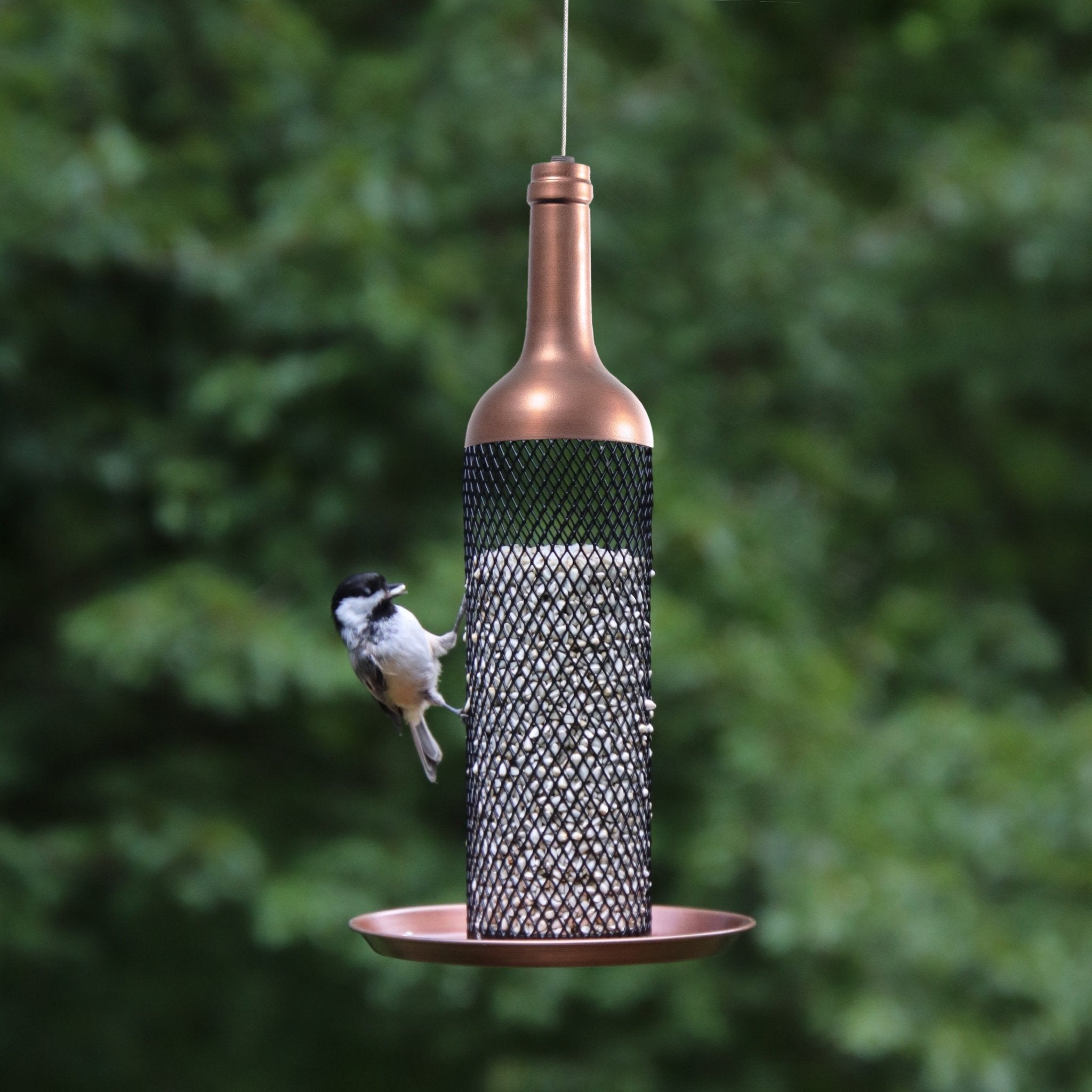 Premium Vineyard Select Bird Feeder - Durable Outdoor Hanging Feeder for Wild Birds - Attract Cardinals, Finches & Hummingbirds to Your Garden or Backyard