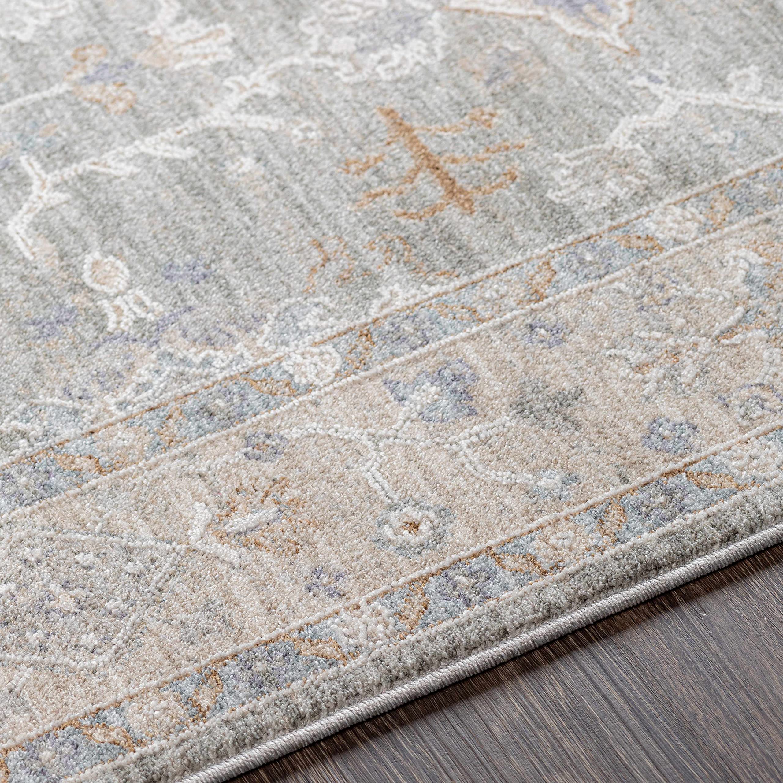 Hauteloom Clem Soft Area Rug for Living Room & Bedroom - 2' x 3'11