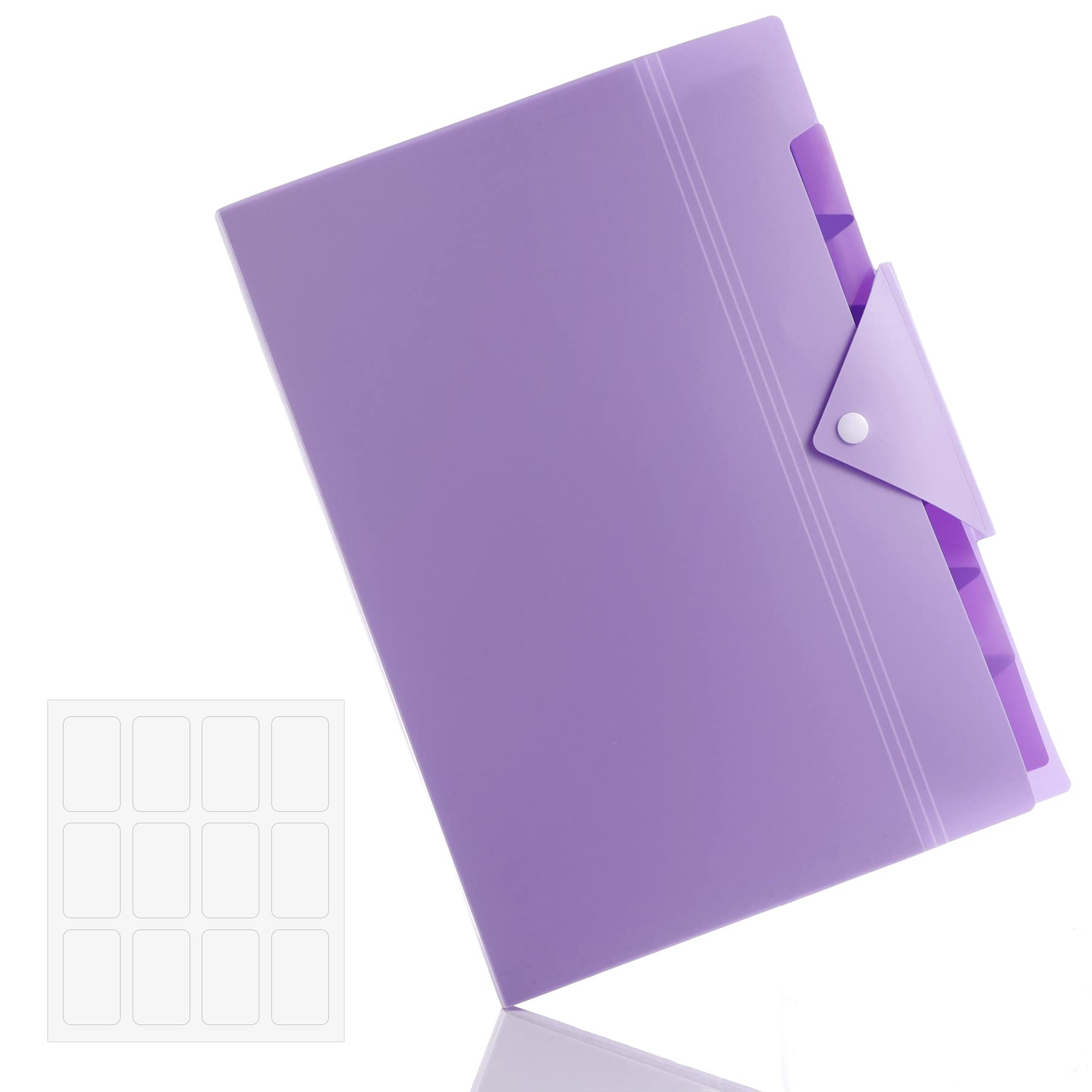 Antner 8-Pocket Expanding File Folder with 12 Sticky Labels - Letter Size Accordion Organizer with Snap Closure - Purple A4 Document Holder for Home, School & Office - Perfect for Bills, Receipts & Paperwork Organization