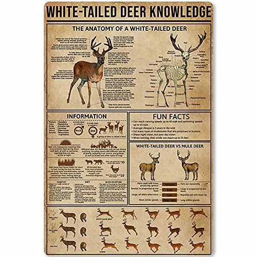 White-Tailed Deer Knowledge