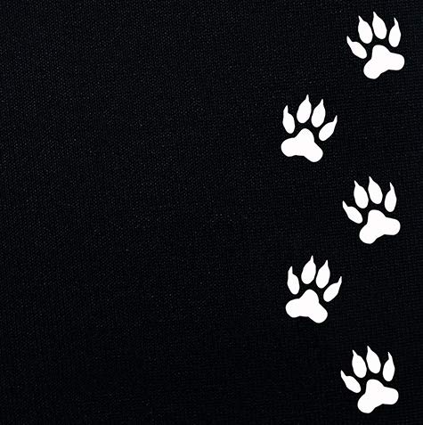 Cat Paw