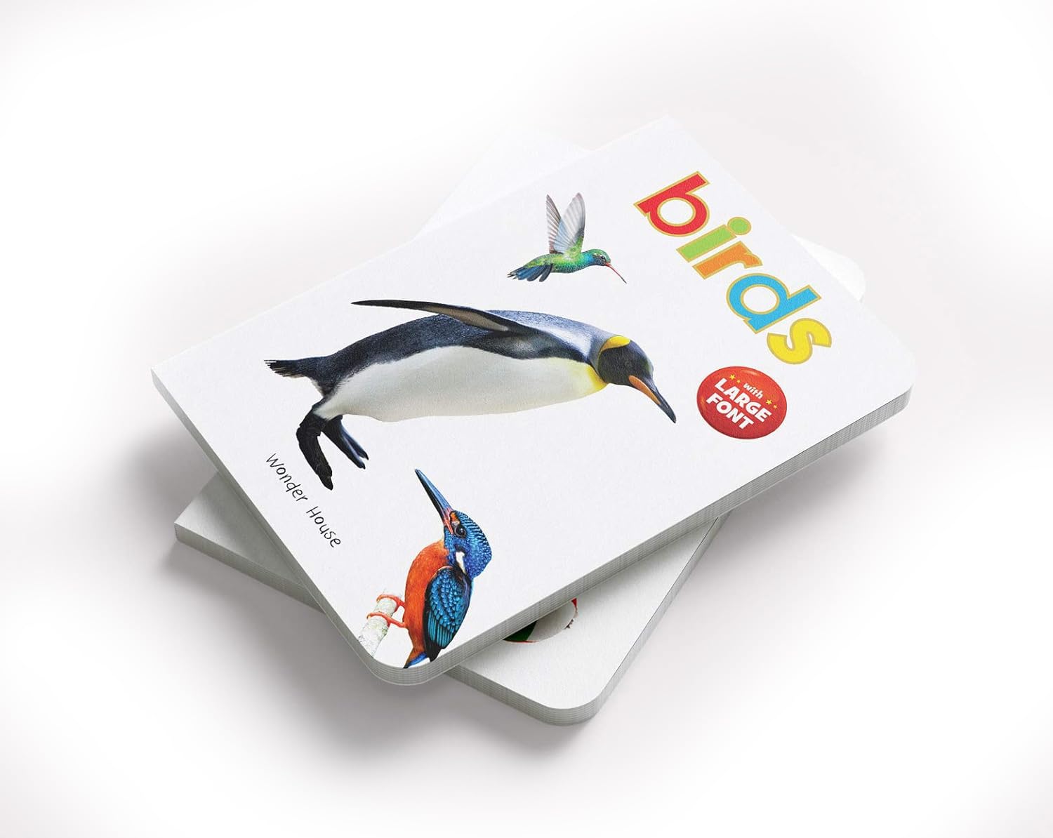 Birds - Big Board Books for Toddlers & Babies | Durable Early Learning Picture Book for Kids | Perfect for Storytime, Gifts & Preschool Education