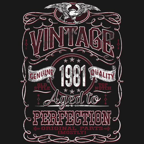 Vintage 1981 Aged to Perfection 44th Birthday Gift T-Shirt for Men - Funny 44 Year Old Birthday Present - Perfect for Parties & Celebrations