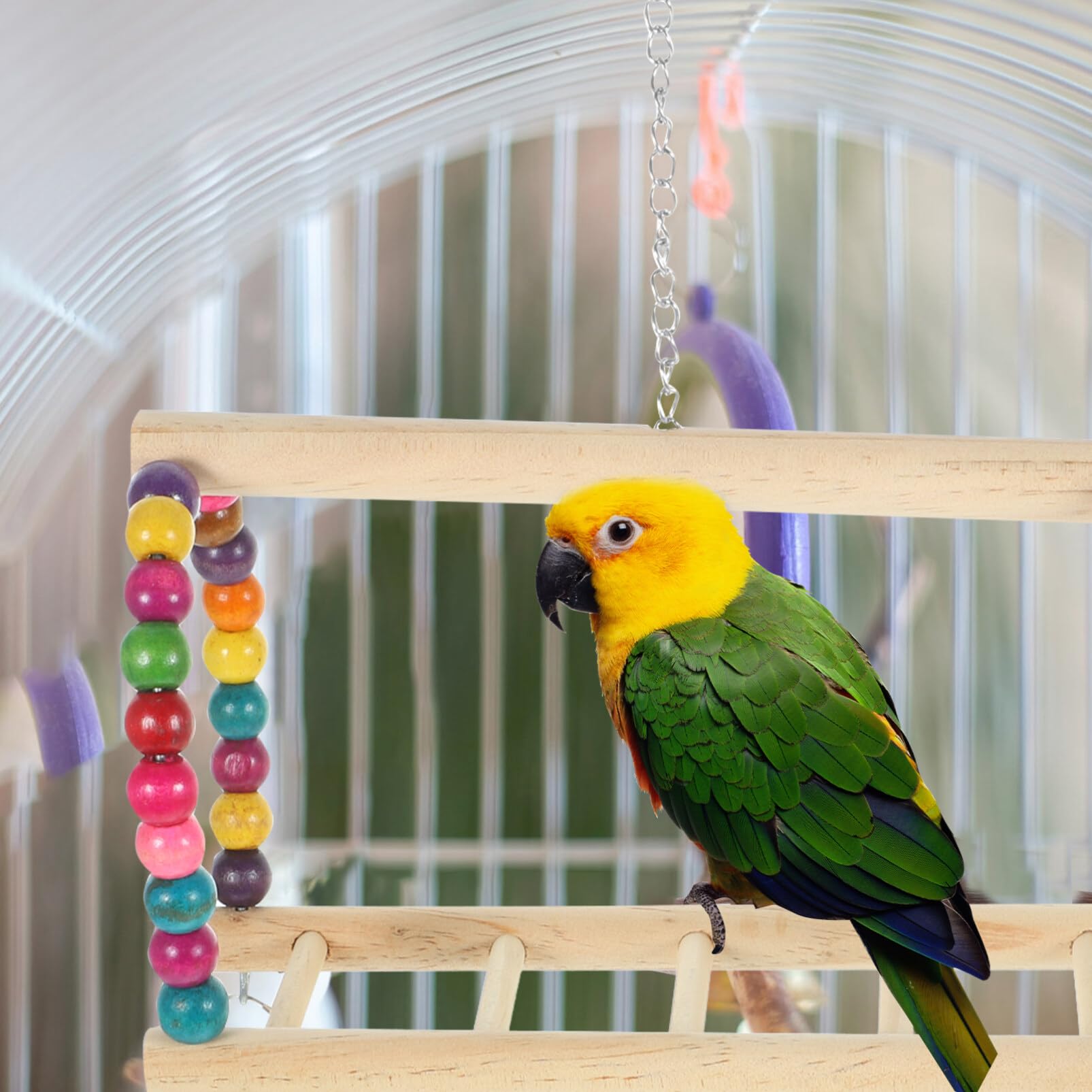 **Natural Wooden Bird Perch & Swing Toy Set - Chewing Ladder Bridge for Parrots, Parakeets, Lovebirds - Cage Accessories for Hanging, Standing & Play - Perfect for Small Birds' Exercise & Entertainment**