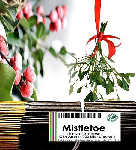 Mistletoe