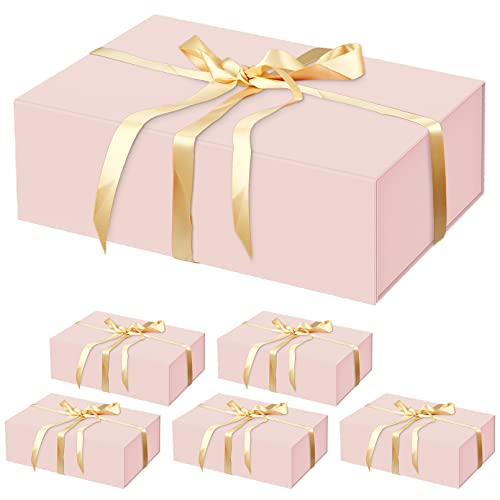6 Pack Pink-13.8x9x4.3