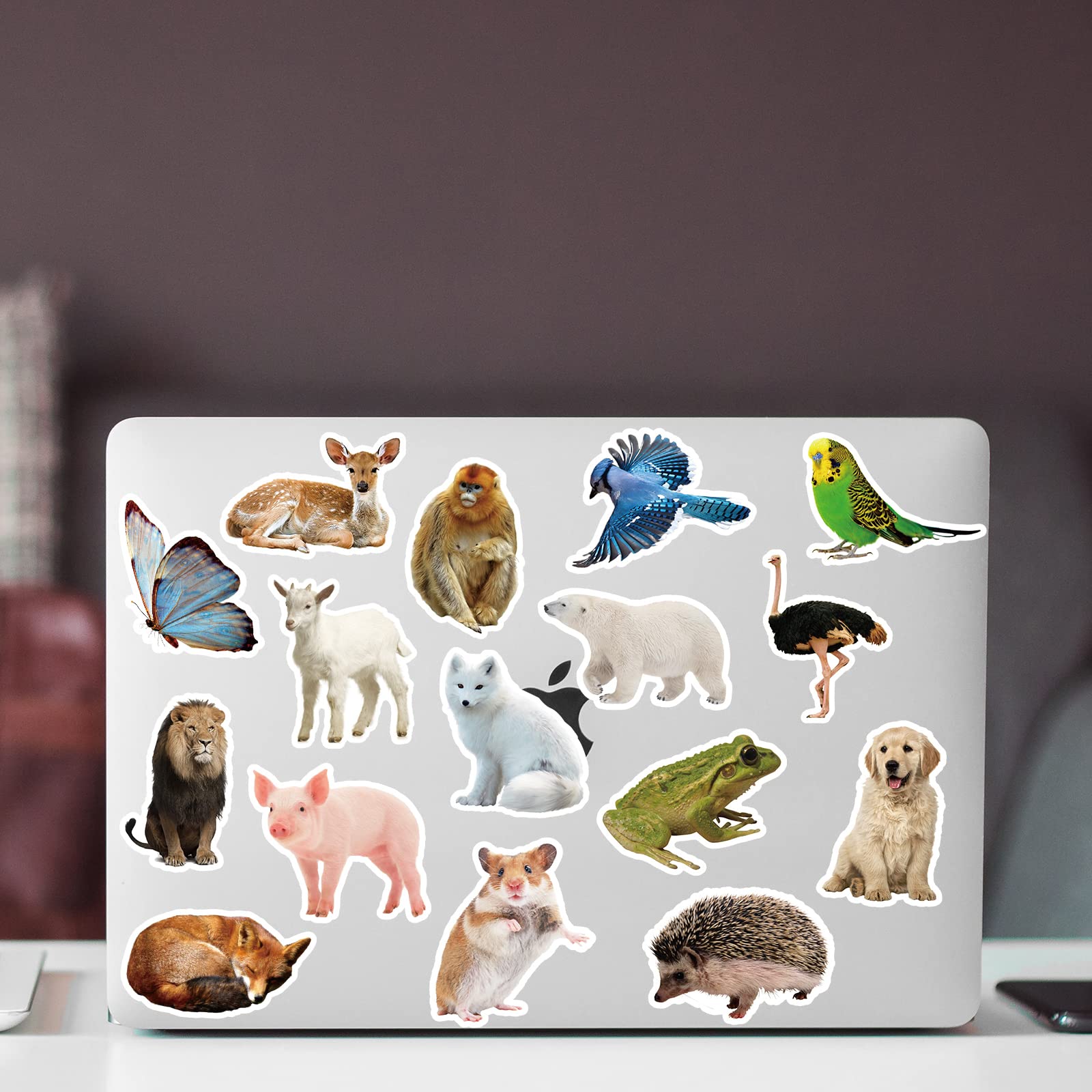 100Pcs Waterproof Zoo Animal Stickers for Kids - Cute Vinyl Animal Stickers Pack for Teens & Adults - Perfect for Scrapbooking, Laptop Decoration & School Projects