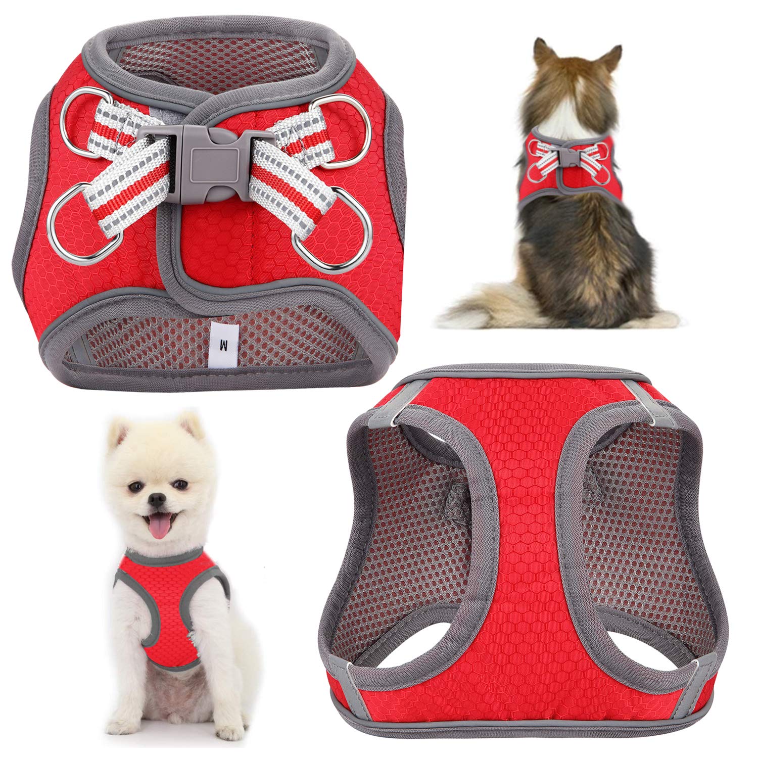 JSXD Small Dog Harness & Leash Set - Adjustable Step-in Puppy Vest with 3M Reflective Strips for Small to Medium Dogs | Perfect for Walking, Training & Nighttime Safety