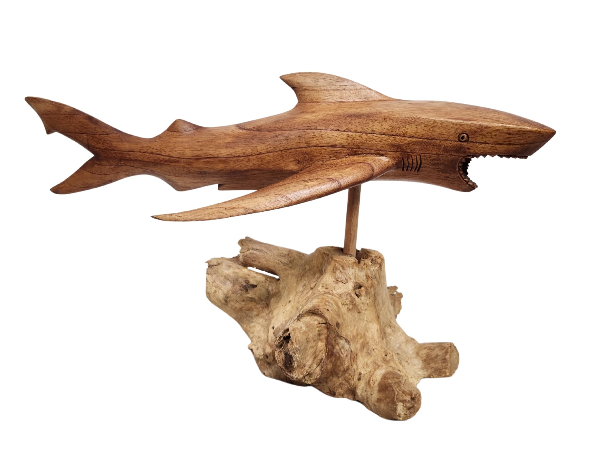 Hand Carved Wooden Shark Sculpture - MACO Shark on Coral Stand - Unique Nautical Ocean Decor for Home, Office, or Beach House - Perfect Gift for Shark Lovers & Marine Theme Enthusiasts
