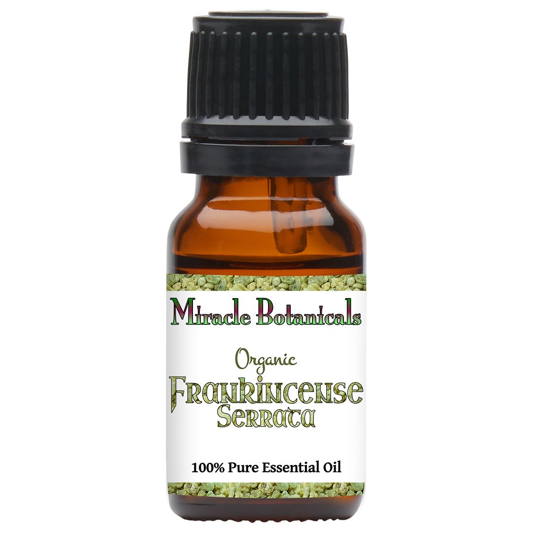 Organic Frankincense Serrata Essential Oil (Boswellia Serrata) - Pure & Natural Aromatherapy Oil from India for Relaxation, Meditation & Skin Care