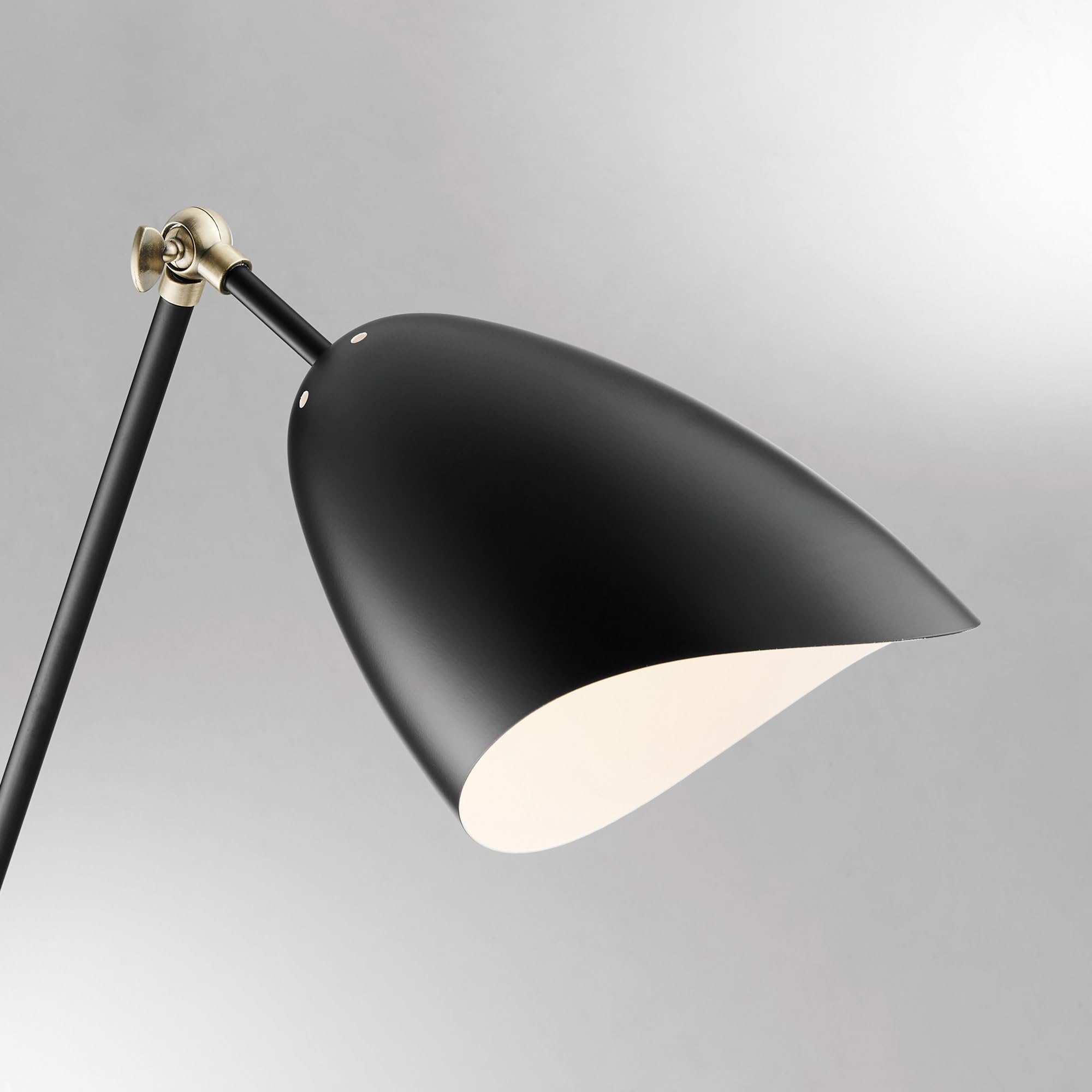Lite Source Tanko Adjustable Reading Floor Lamp in Black & Antique Brass - Perfect for Living Room, Bedroom, or Office Lighting