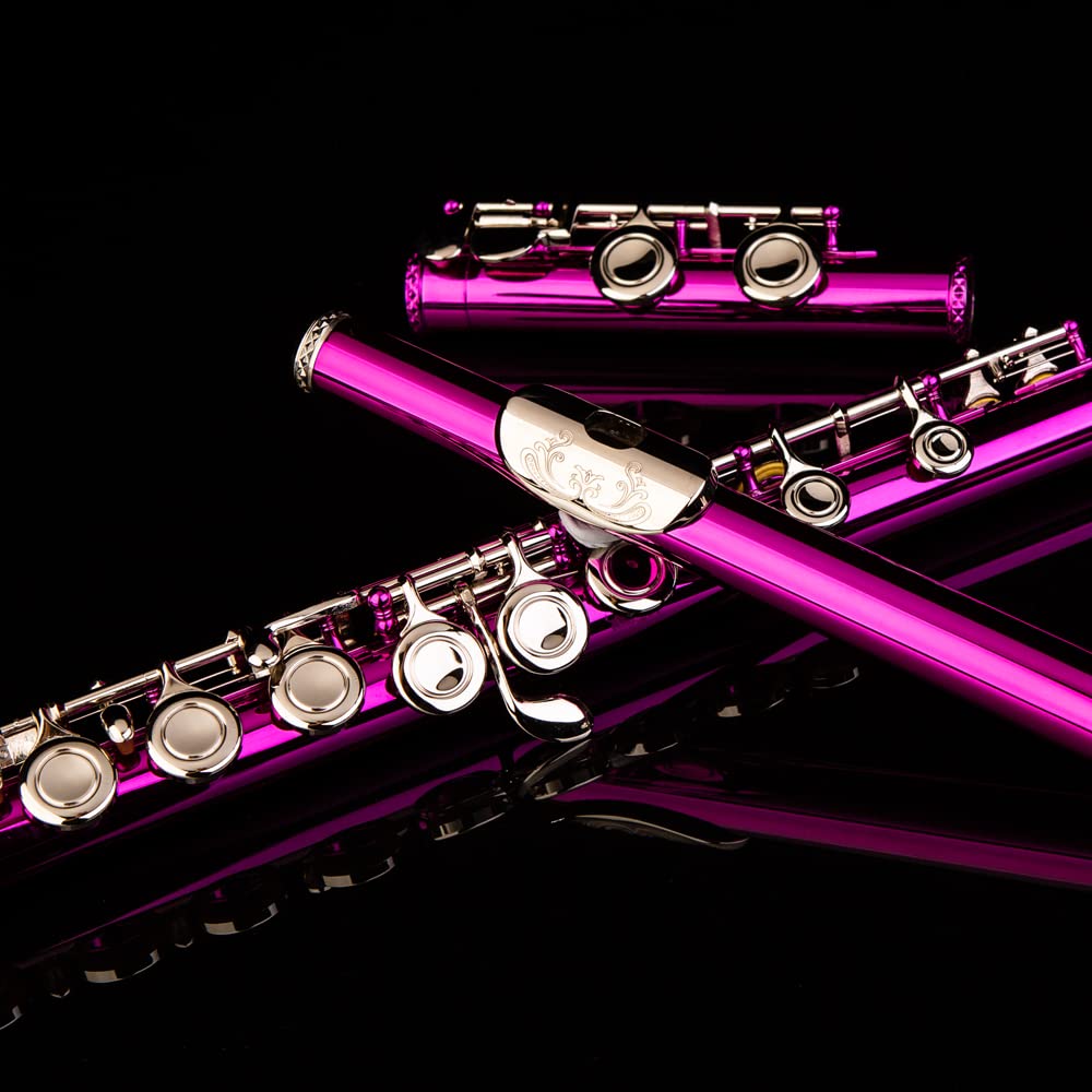 16 Keys C Flute with Engraved Flower Design - Closed Hole Student Flute for Beginners | Includes Cleaning Kit, Stand, Carrying Case, Gloves & Tuning Rod | Perfect for School Band, Music Practice & Gift (Pink)