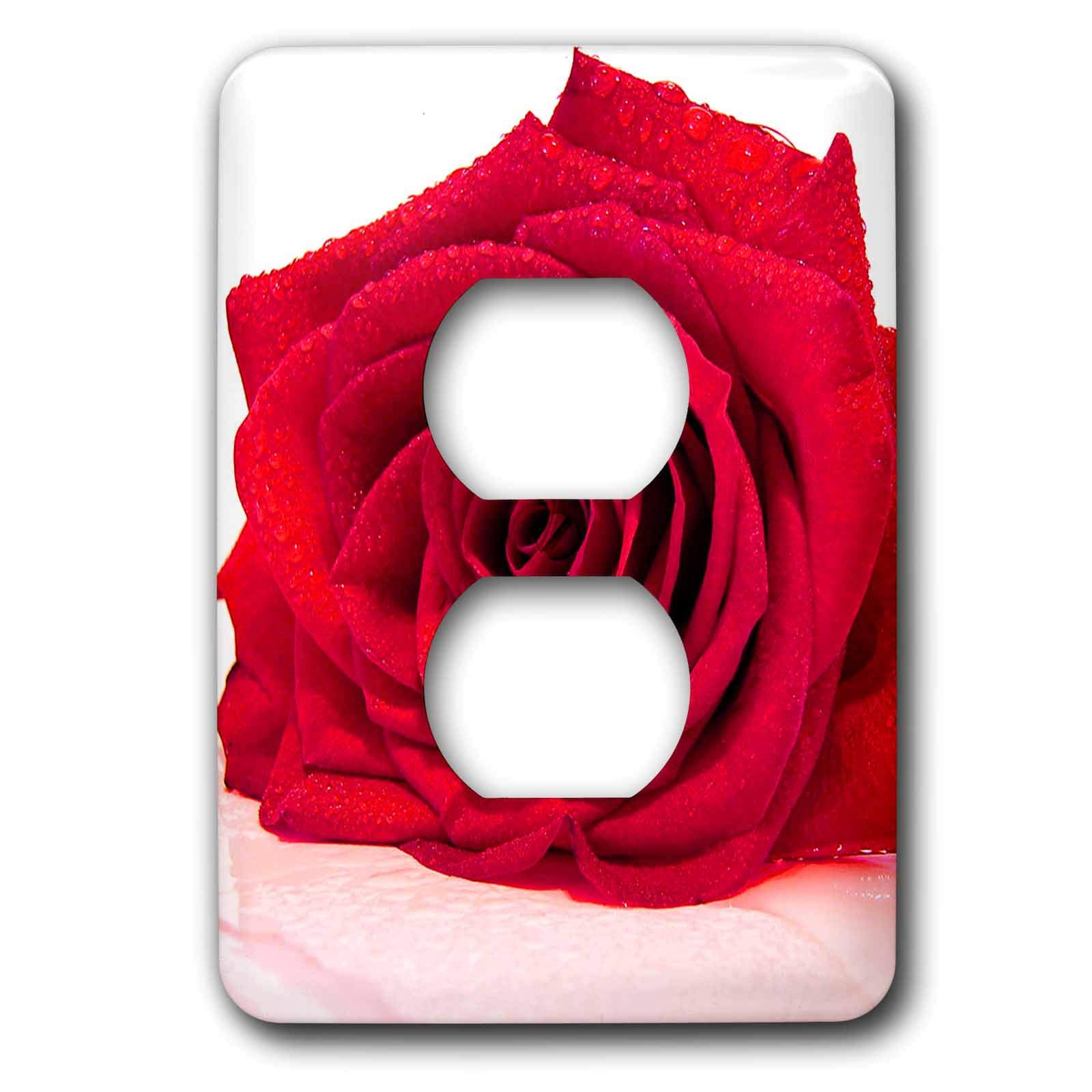3D Rose Elegant Floral 2 Plug Outlet Cover - Decorative Wall Plate for Living Room, Bedroom & Office (Style lsp_9333_6)