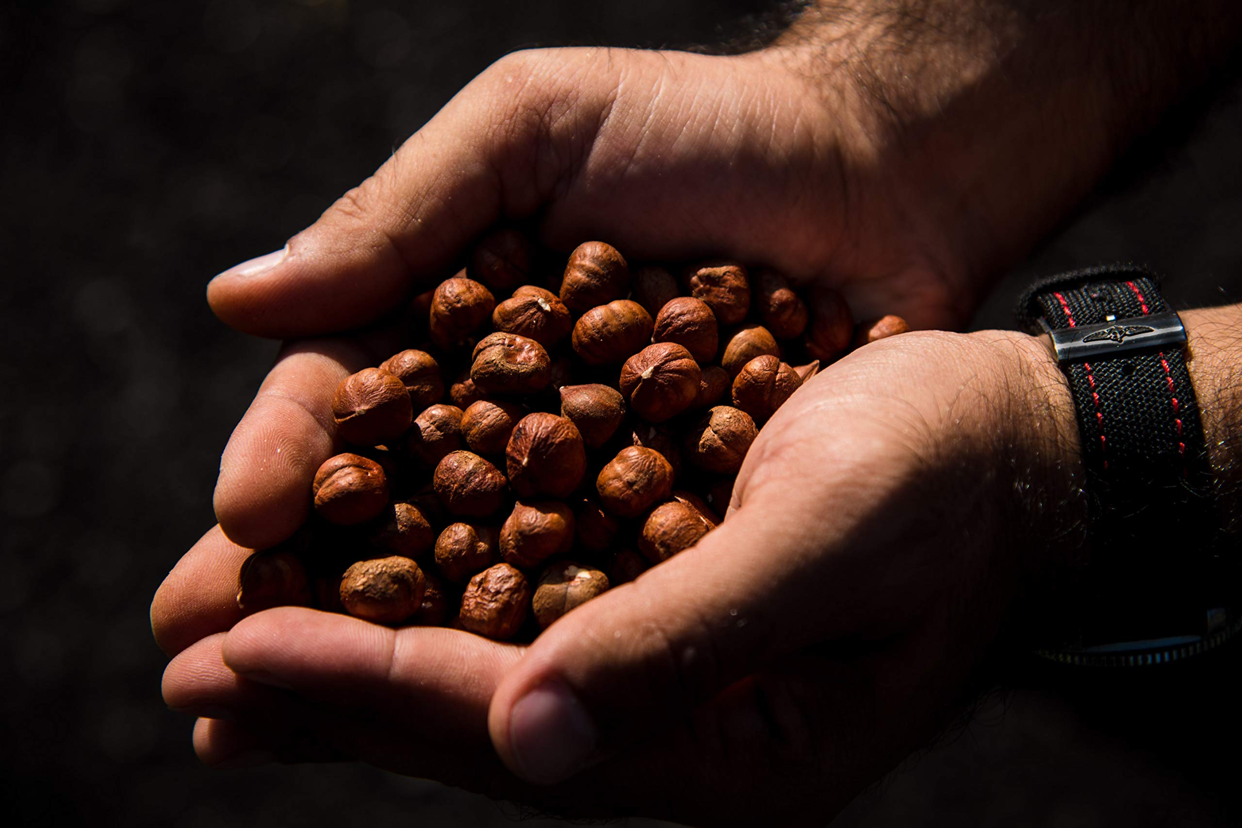 Premium Raw Hazelnuts (Filbert Nuts) - Shelled, Gluten Free, Non-GMO & Kosher Certified - 100% Natural Fresh Snacks in Resealable 2 LB Bag - Perfect for Baking, Cooking & Healthy Snacking