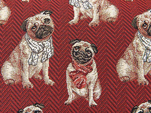Pug