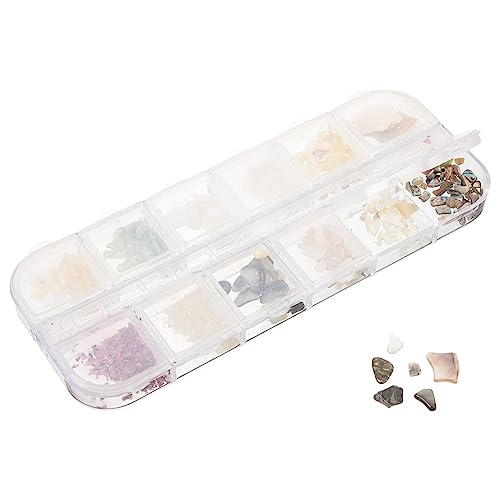 EXCLUZO 3D Seashell Nail Charms - 1 Box Beach-Themed Irregular Natural Shell Pieces for Nail Art DIY, Jewelry Making & Craft Decorations | Perfect for Summer Nails, Mermaid Parties & Beach Wedding Accessories