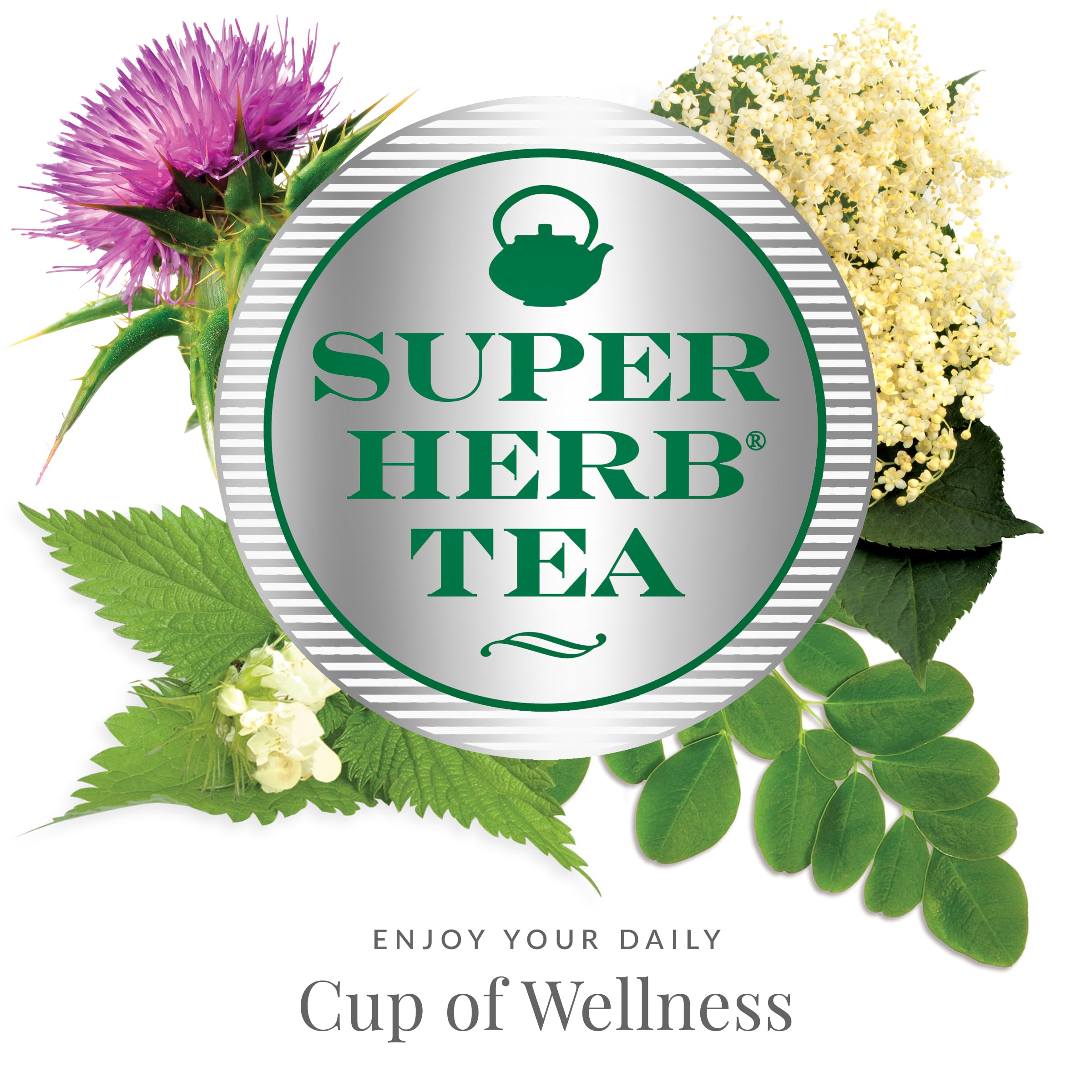 Organic Dandelion SuperHerb Tea Refill Bags - 250 Count, Naturally Caffeine-Free Herbal Tea by The Republic of Tea | Detox & Wellness Support, Perfect for Relaxation & Digestive Health