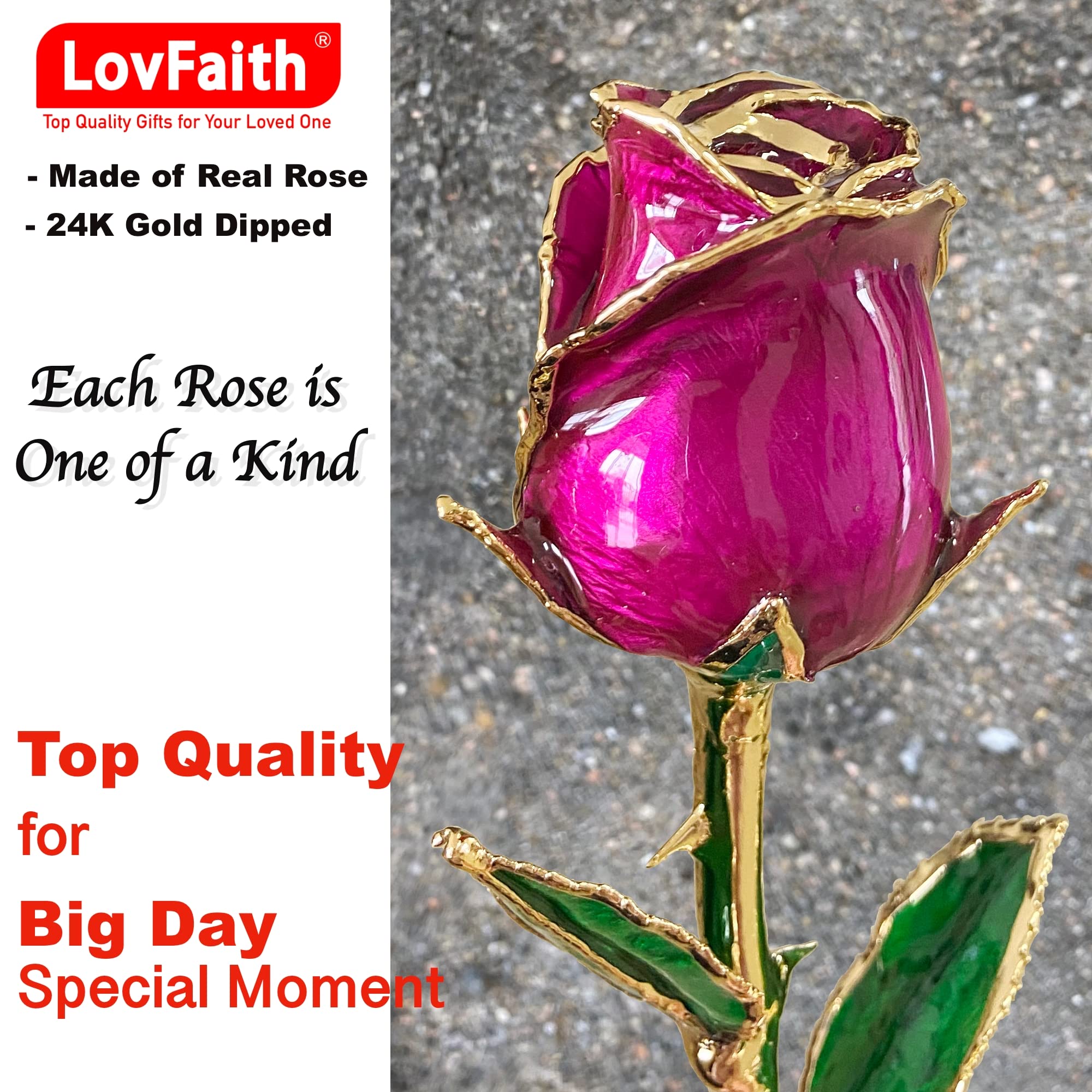 24K Gold Dipped Real Rose with Crystal Stand - Luxury Valentine's Day, Anniversary, Birthday & Christmas Gift for Her, Wife, Mother | Perfect for Home Decor, Romantic Surprises & Special Occasions (Magenta - Original Rose)