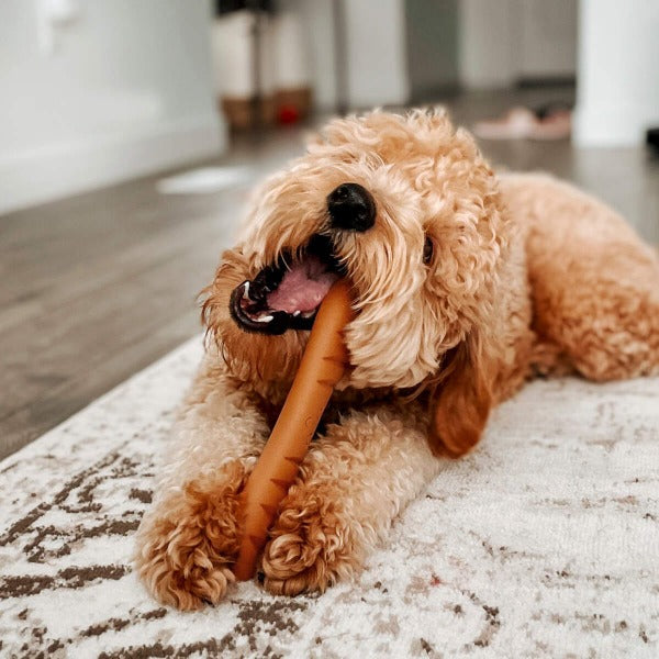 Nylabone Power Chew Baguette Dog Toy - Durable Chew Toy for Aggressive Chewers - Best for Large Dogs & Puppies - Perfect for Teething, Boredom & Dental Health