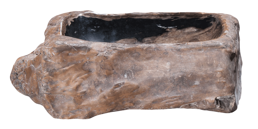Natural Petrified Wood Bathroom Sink - 17