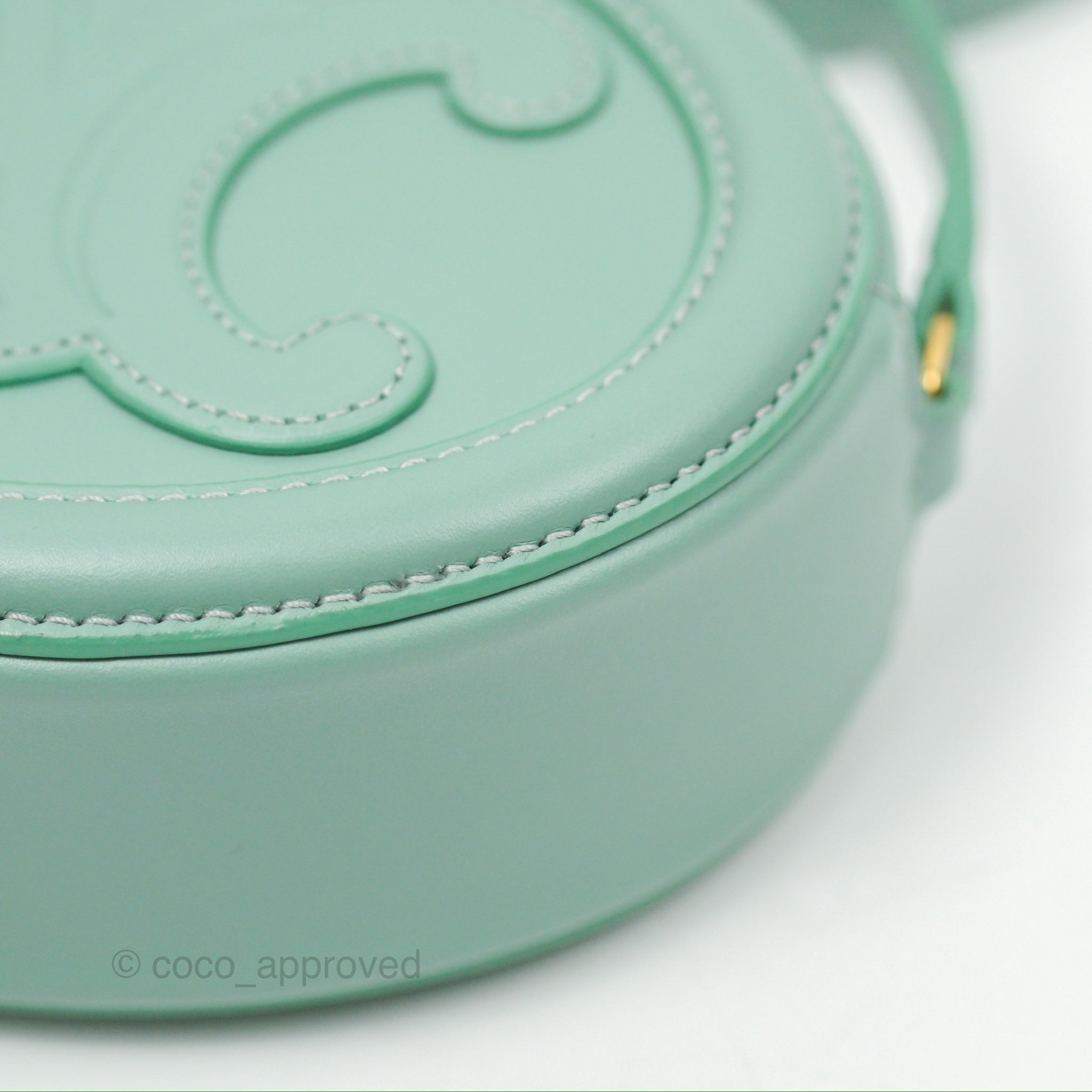 Celine Oval Bag Triomphe in Ice Mint Calfskin Leather - Luxury Crossbody Purse for Women, Perfect for Date Night & Evening Events