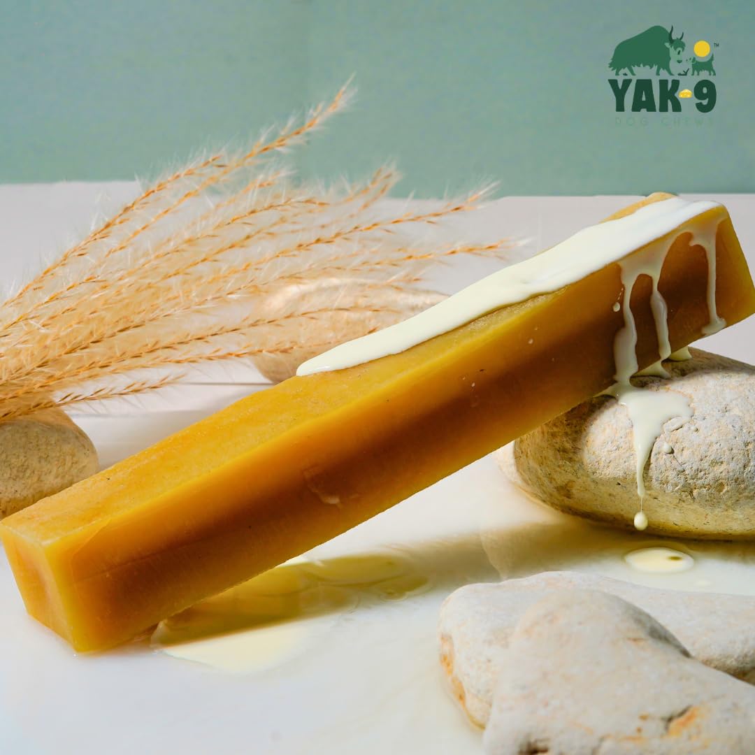 Natural Yak & Cow Milk Cheese Dog Chews - High Protein, Long Lasting Dog Treats with Vitamins & Minerals, Rawhide Free, Medium Size (1 PC) - Perfect for Training Rewards & Dental Health