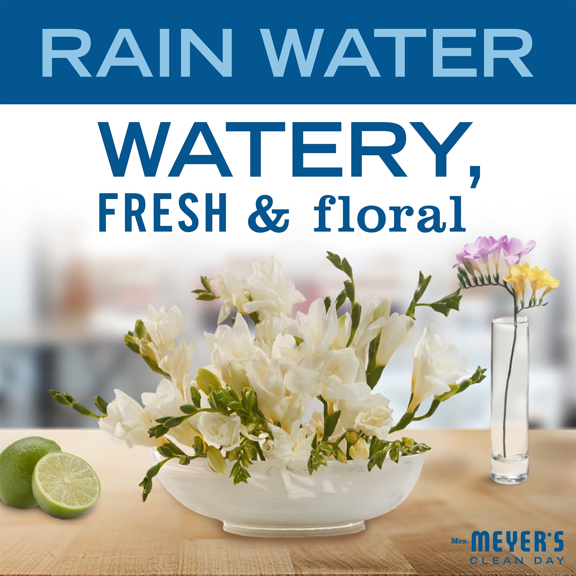 Mrs. Meyer's Clean Day Hand Soap with Essential Oils | Biodegradable, Rain Water Scent | 12.5 fl oz | Gentle for Daily Hand Washing, Kitchen & Bathroom Use