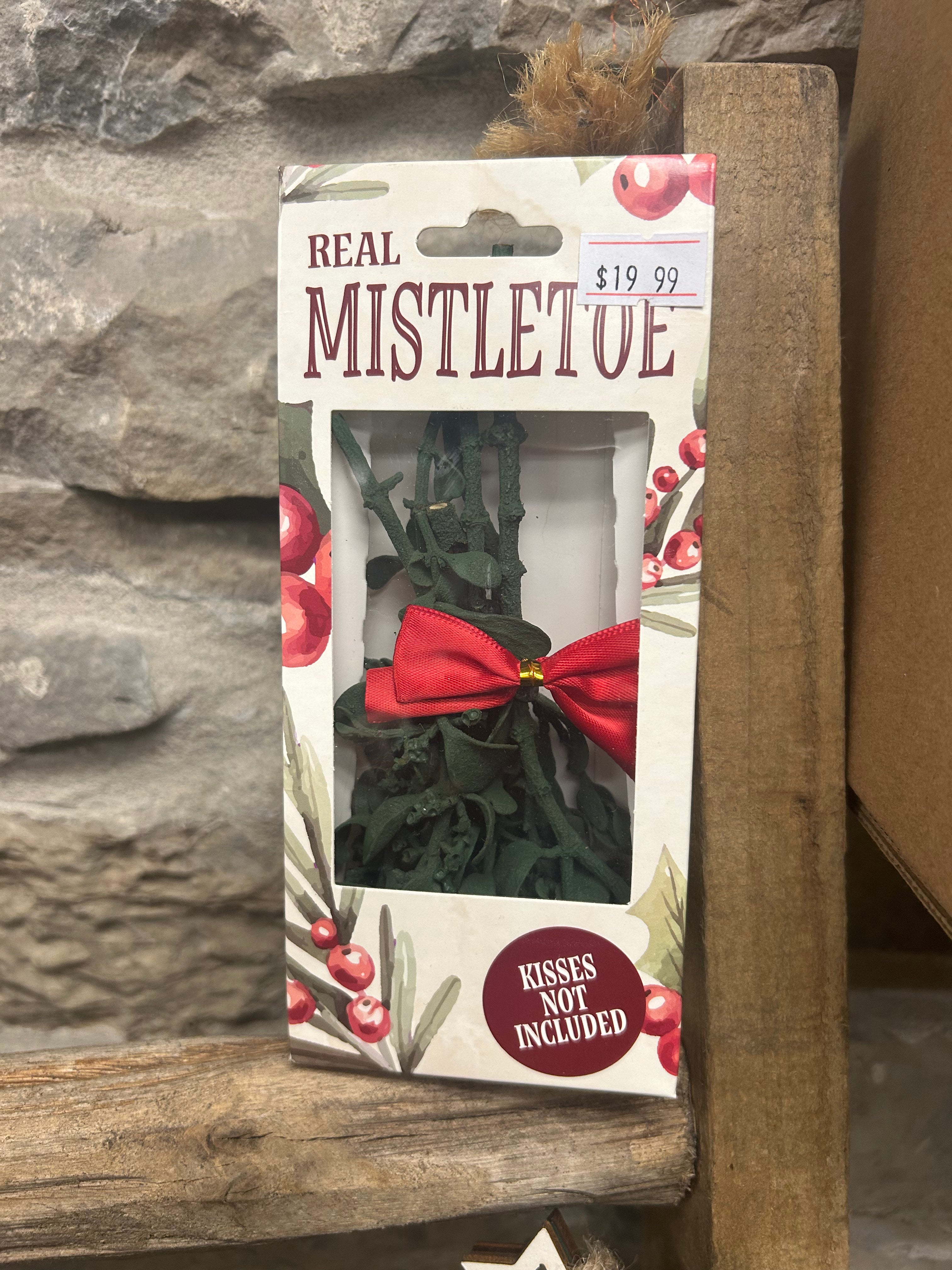 Real Preserved Mistletoe for Christmas Decorations - Perfect for Holiday Kissing Tradition, Home & Party Decor