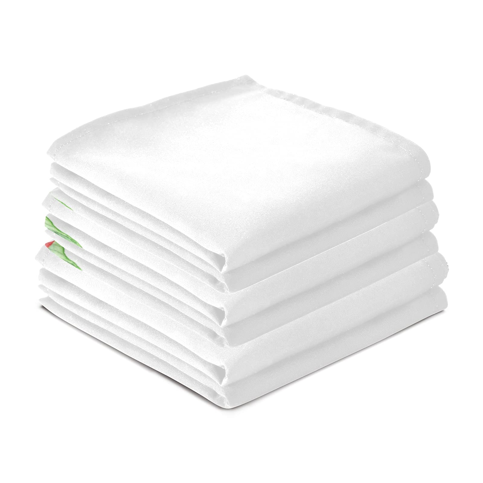Premium 4-Pack Fern & Mushroom Print Kitchen Towels - 18x28 Inch Soft Absorbent Fast-Drying Dishcloths, Hand Towels & Tea Towels for Bathroom, Kitchen & Bar Cleaning | Forest Leaf Design Home Decor