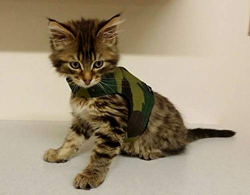 Mynwood Cat Jacket Harness - Green Combat Style Adjustable Pet Vest for Adult Cats - Perfect for Outdoor Adventures, Hiking & Safe Walks