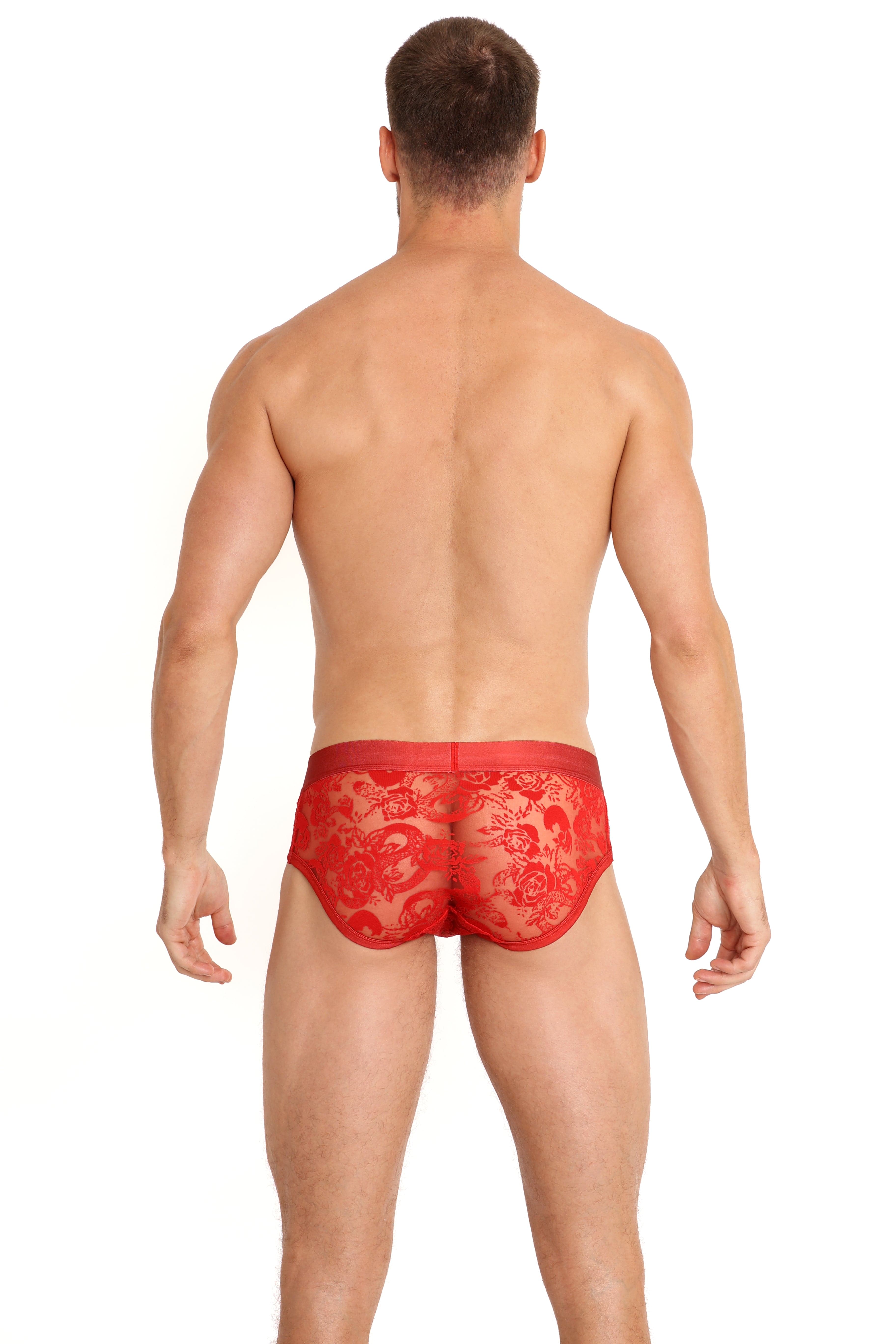 Snake Rose Burnout Brief Red - Sexy Lingerie for Women, Comfortable & Stylish Underwear - Perfect for Date Night, Boudoir Photography & Special Occasions