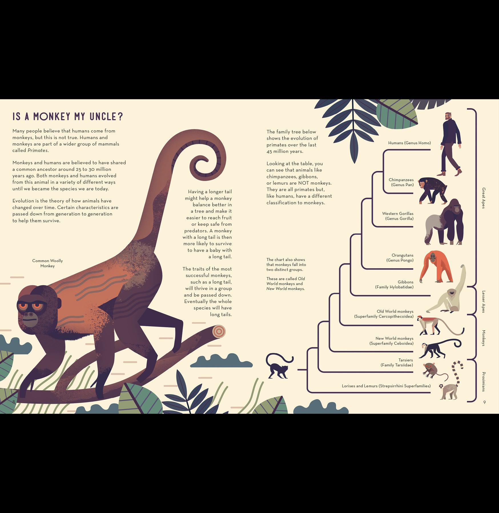 Mad About Monkeys - Fun & Educational Monkey Themed Gifts for Kids & Animal Lovers | Perfect for Birthday Parties, Classroom Rewards & Jungle Decor