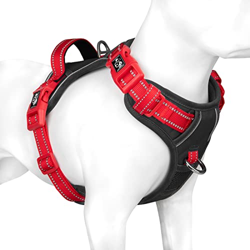 Black Base & Red Straps