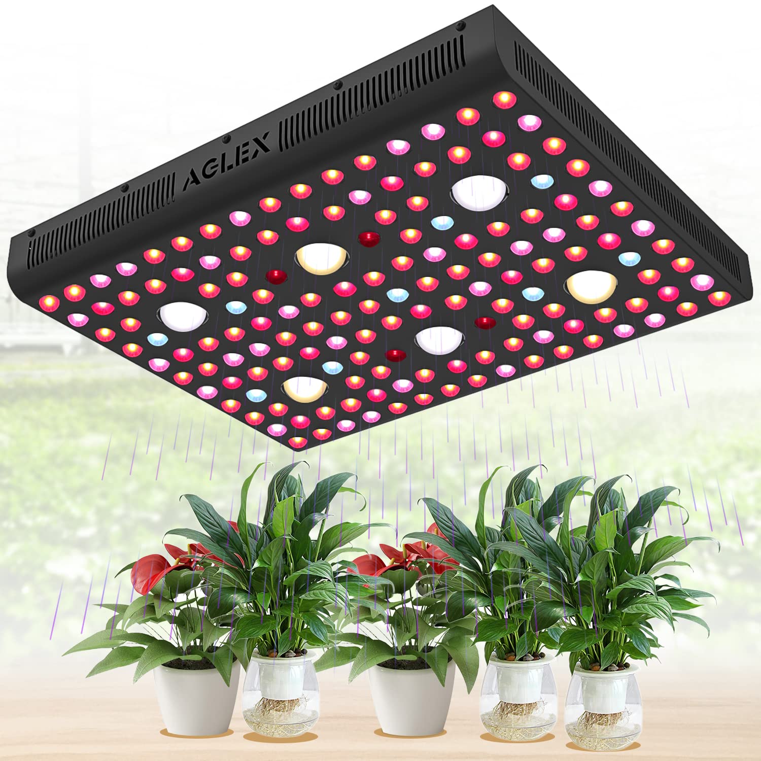 AGLEX 655W COB LED Grow Light Full Spectrum - Hydroponic Indoor Plant Growing Lamp with Daisy Chain & Veg/Bloom Switch for Greenhouse, Vegetables, Flowers (C3000) - Perfect for Seedlings, Herbs, and Cannabis Cultivation