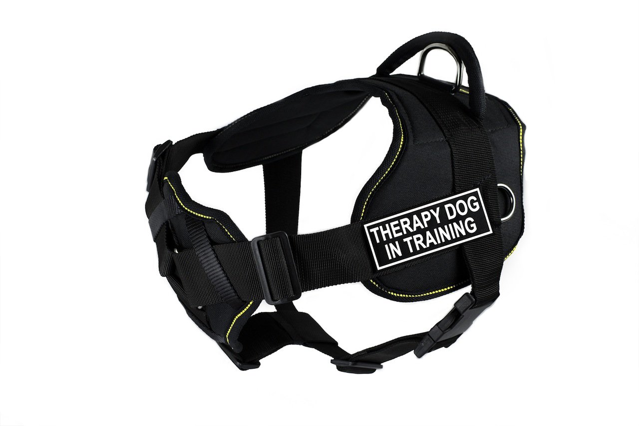 **Dean & Tyler D&T FUN-CH TPYDIT YT-S Padded Dog Harness for Training - Small (56cm-69cm Girth) - Black & Yellow - Comfortable Therapy & Service Dog Vest for Daily Walks & Outdoor Adventures**