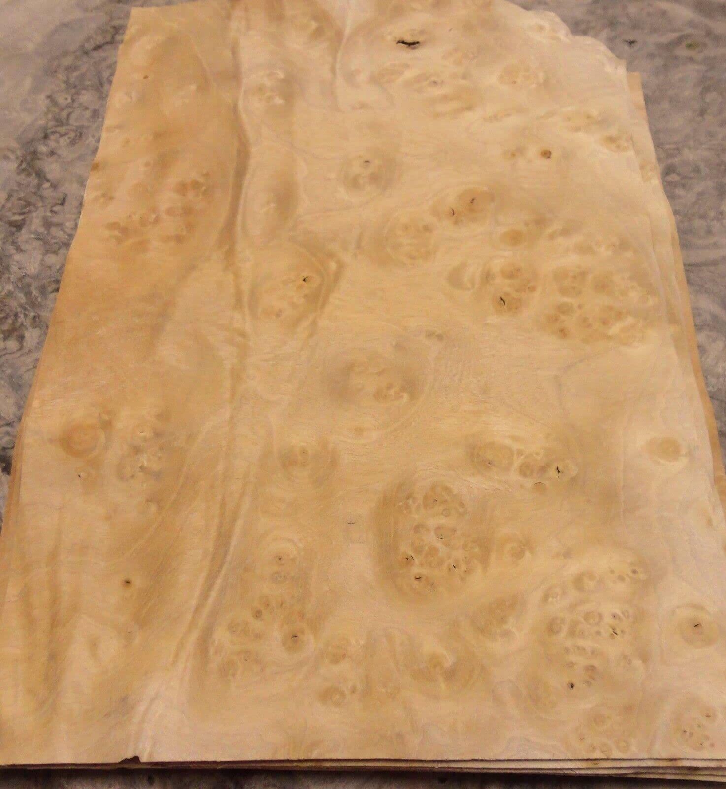 Premium Pimento Maple Pepperwood Burl Wood Veneer - 8