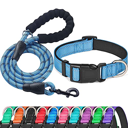 Vivid Blue Collar+Leash