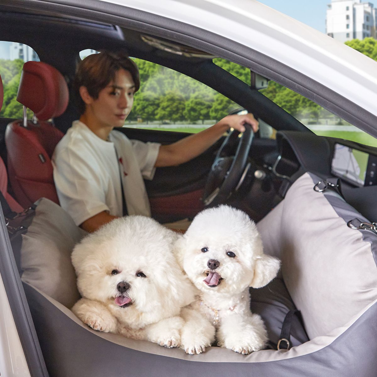 Barbichon Pet Bed & Car Seat for Dogs - Soft & Comfortable Travel Crate for Small Medium Pets - Perfect for Car Rides, Home Lounging & Vet Visits