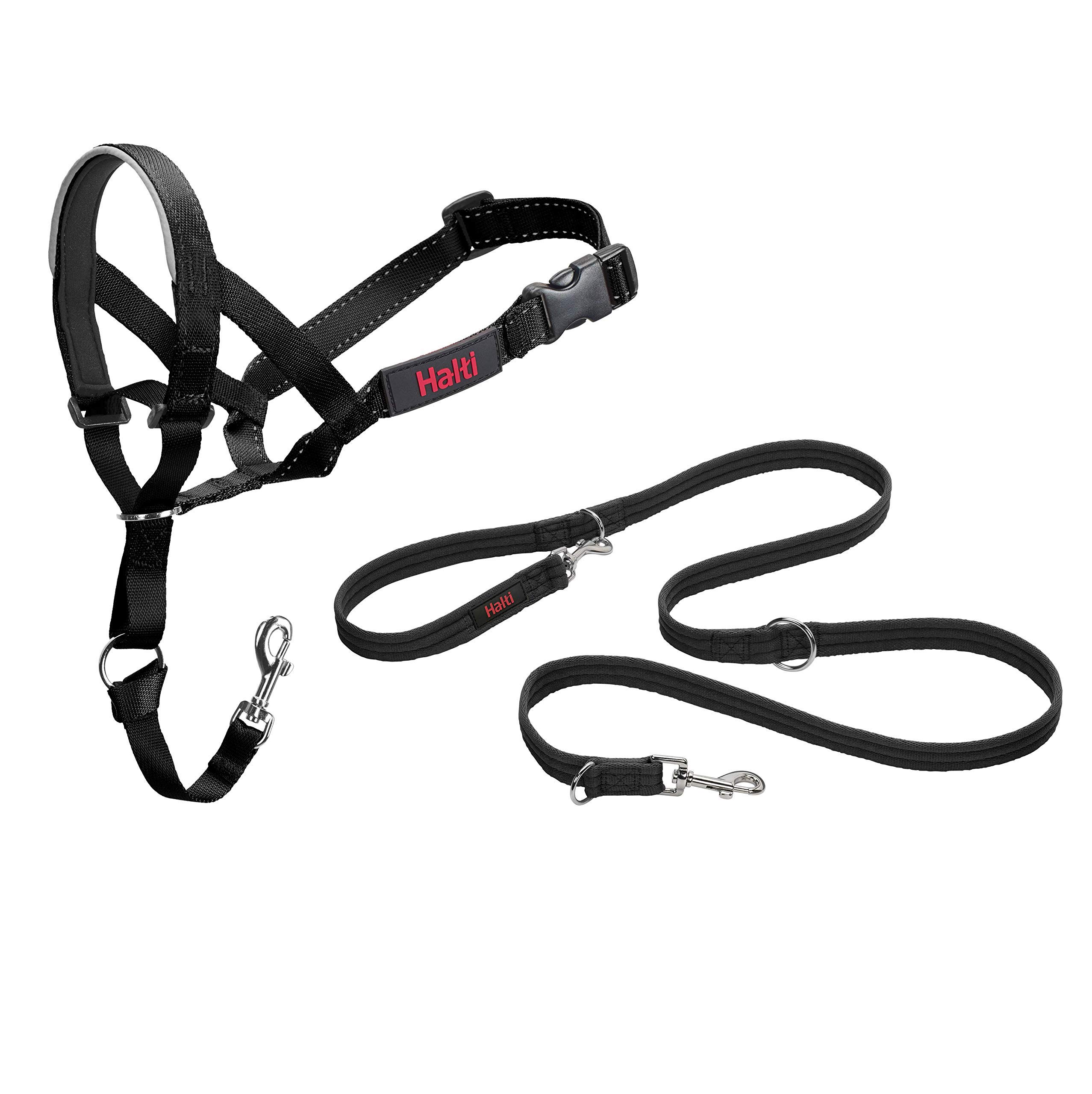 HALTI Headcollar Size 5 & Training Leash Large Combo Pack for Dogs - Adjustable No-Pull Dog Collar with Padded Noseband | Lightweight Pet Training Gear for Large Breeds | Perfect for Walking, Jogging and Obedience Training