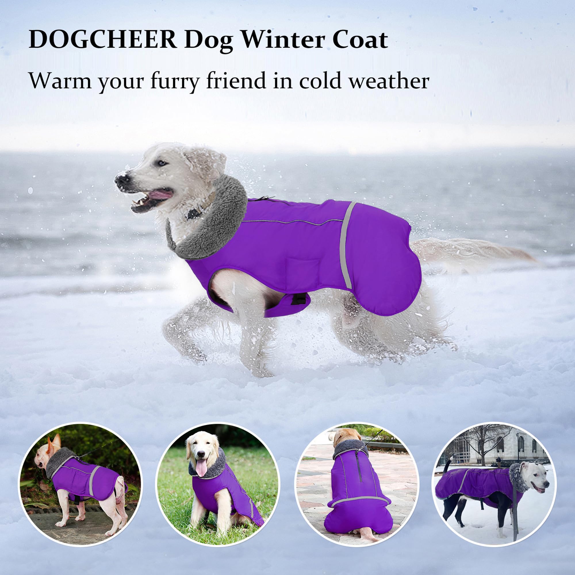 Waterproof Adjustable Reflective Dog Winter Coat with Buckle - Windproof Fleece Snow Jacket for Small Medium Large Dogs - Purple (M) - Ideal for Cold Weather Walks, Outdoor Adventures & Winter Protection