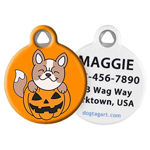 Dog in Pumpkin