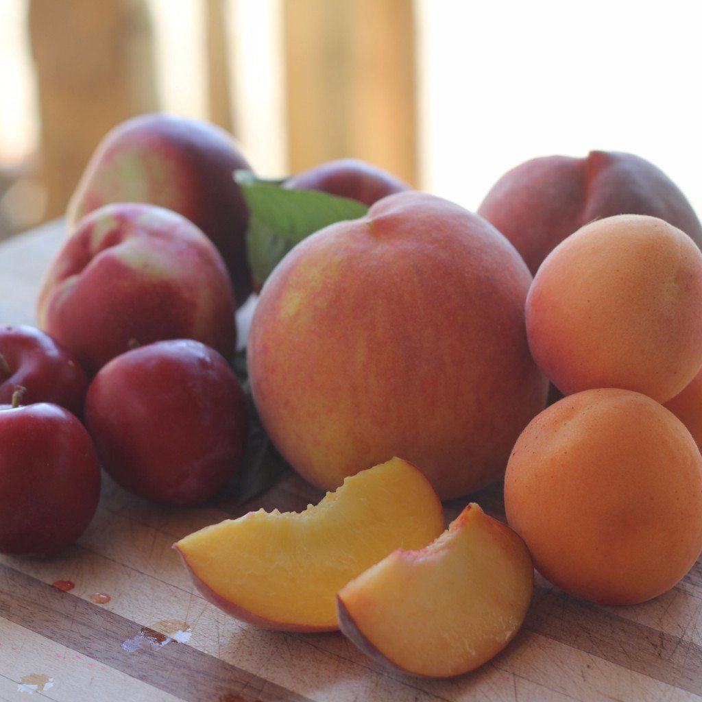 2025 Organic Fruit Club Subscription Box - 10 or 16 Seasonal Shipments | Fresh Summer Harvest Delivery | Perfect for Healthy Snacking & Gift Giving