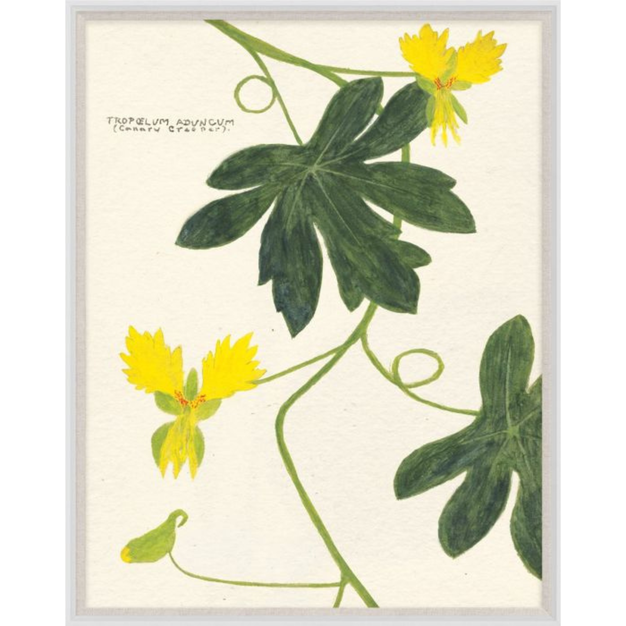10-Piece Floral Wall Art Set by Cyril Hubbard - Perfect for Living Room, Bedroom & Home Decor