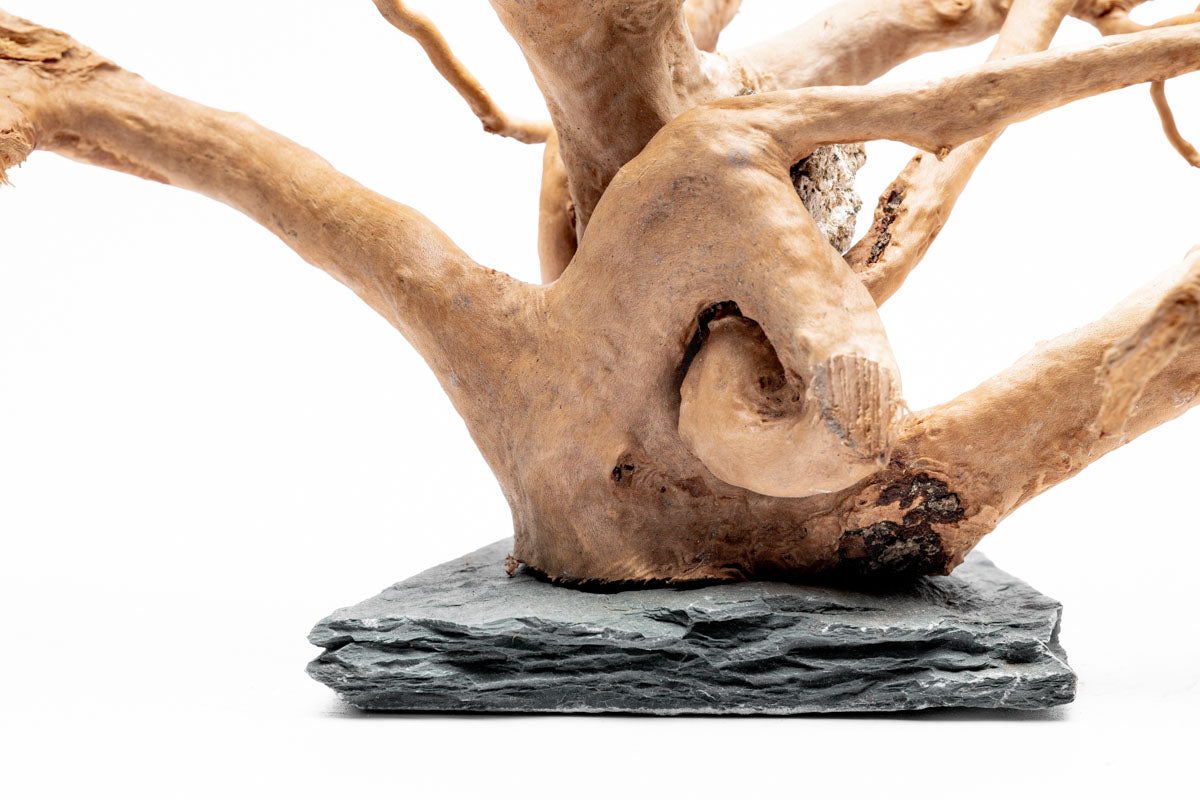 Natural Spider Wood on Slate Stone Aquarium Decor - Perfect for Fish Tanks, Terrariums & Reptile Habitats