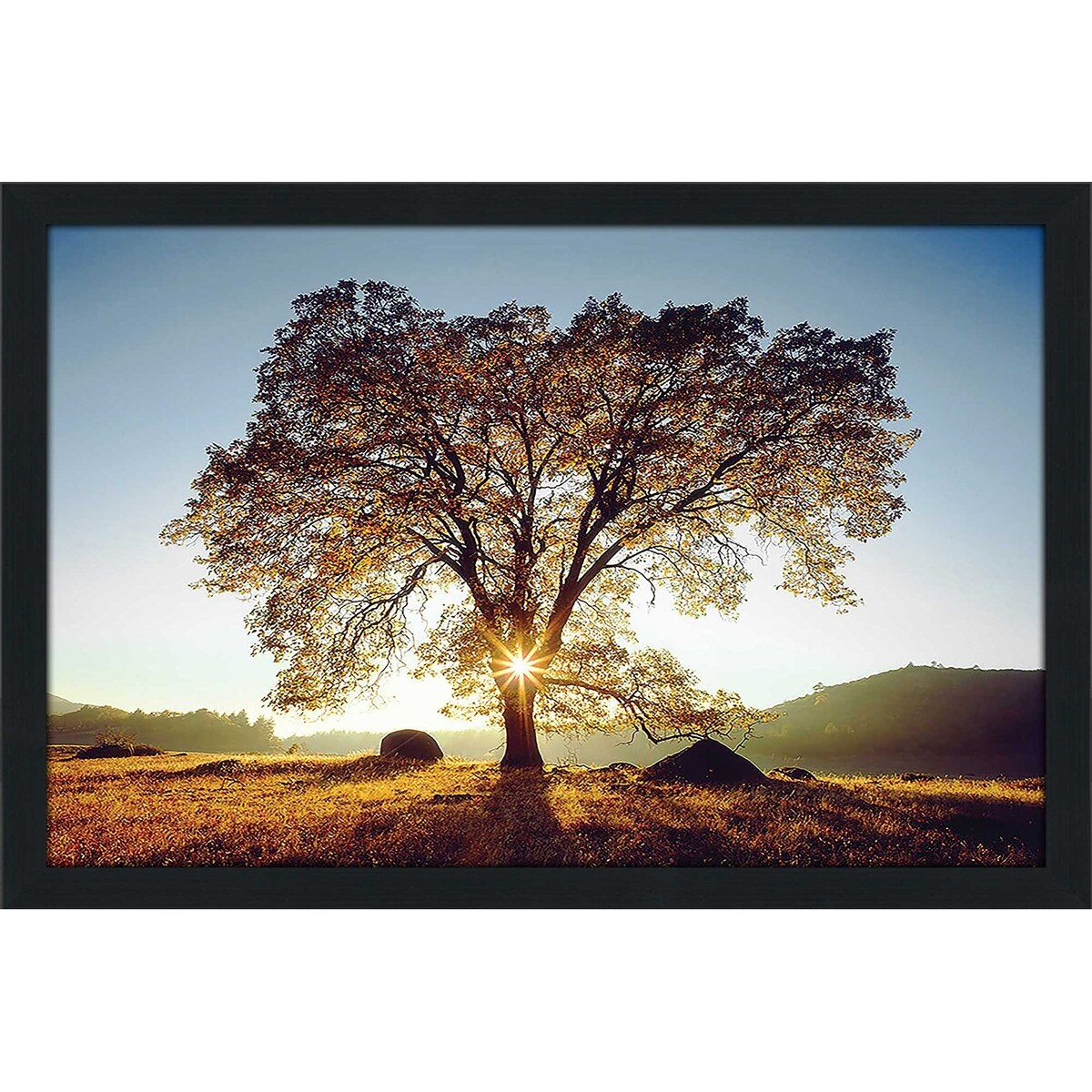 Black Oak Sunset Acrylic Wall Art - Modern Home Decor for Living Room, Bedroom & Office - Nature Inspired Print for Stylish Interior Design
