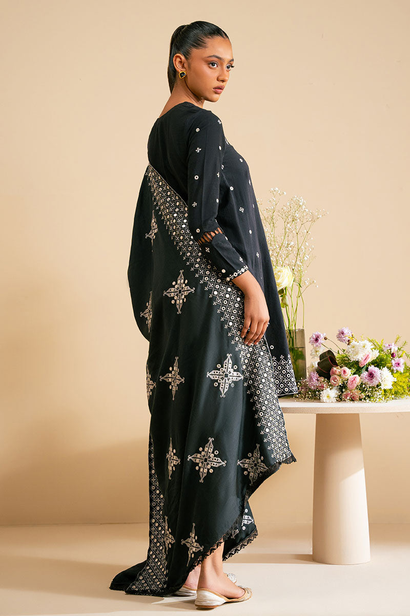 Monochrome Haze 2-Piece Set (Shirt & Dupatta) - Stylish Ethnic Outfit for Women | Perfect for Festivals, Weddings & Special Occasions